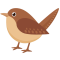brownbird-min