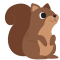 squirell-min